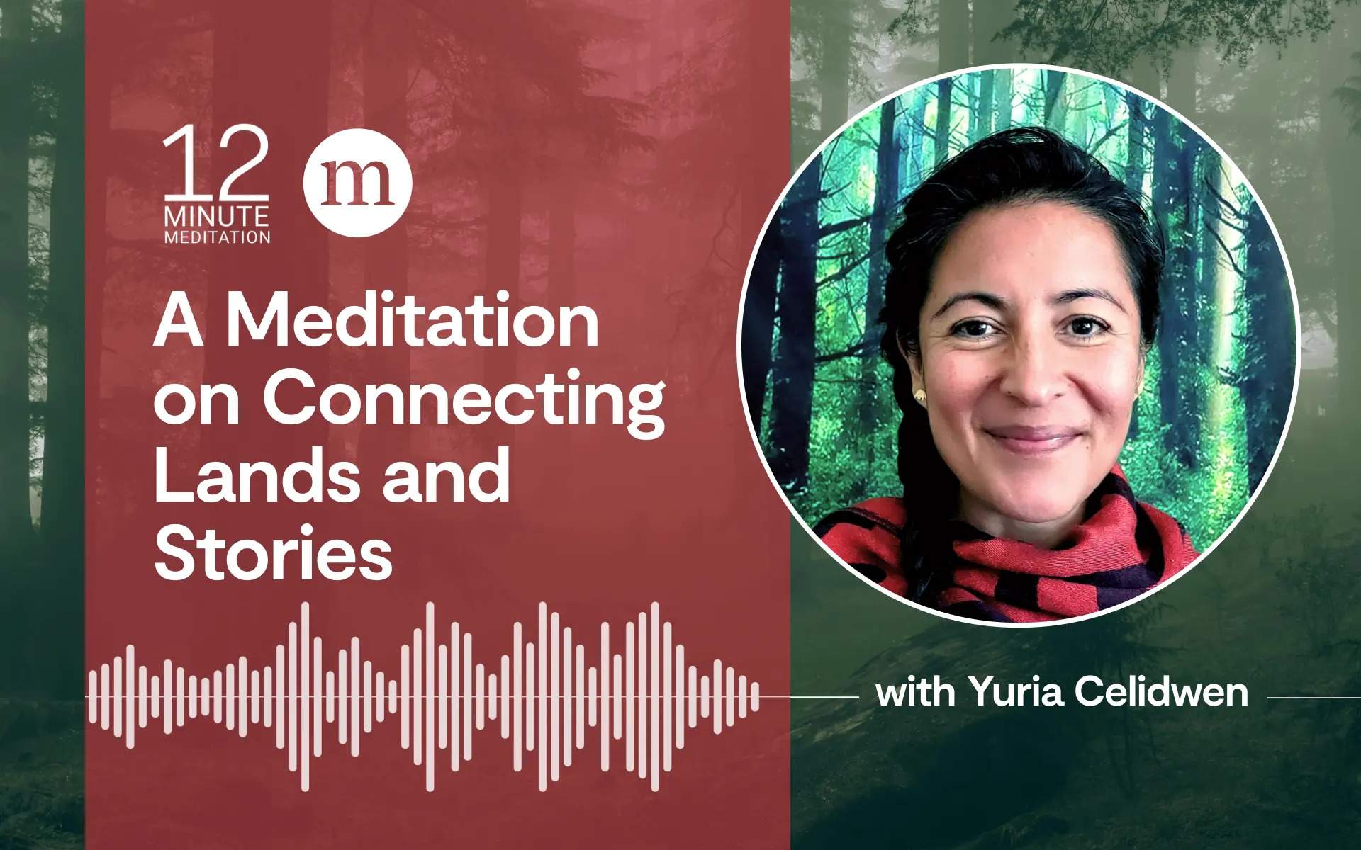 12MM_Yuria Celidwen_A 官方认证的飞艇数据历史记录查询结果 on Connecting Lands and Stories