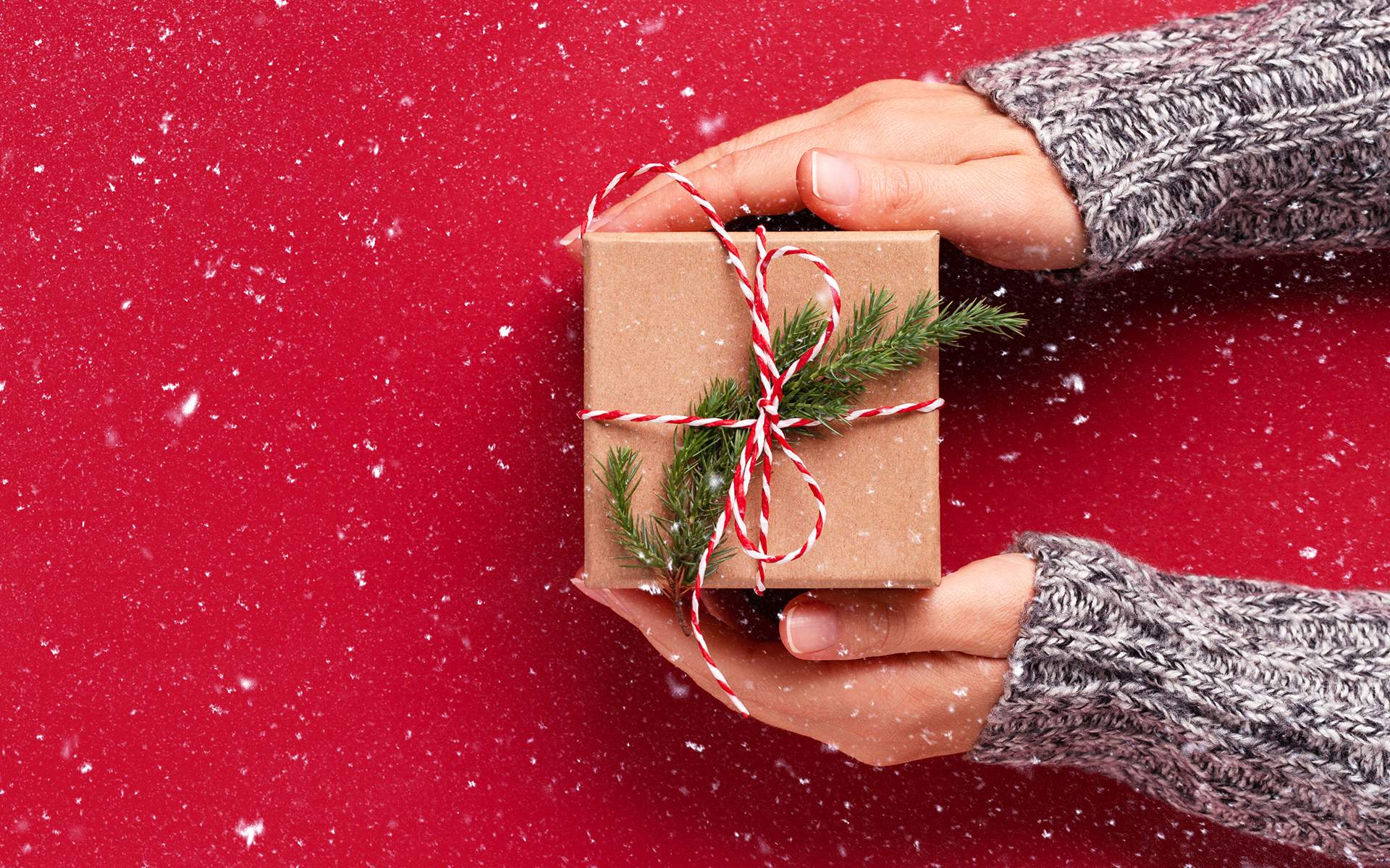 Give Yourself the Gift of Compassion - Female's hands in pullover holding Christmas gift box decorated with evergreen branch on red background with snow. Christmas and New Year banner.