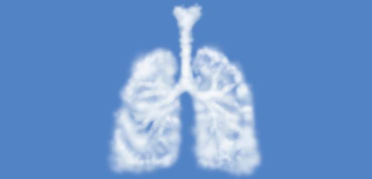 breathing brain
