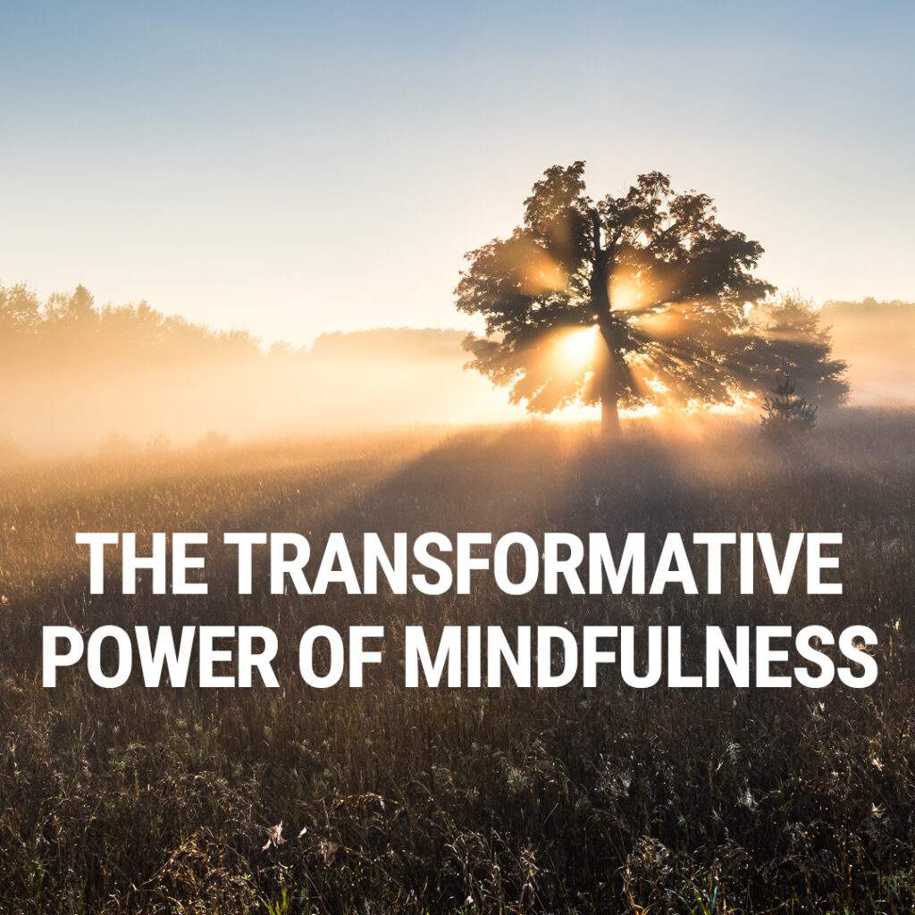 Transformative Power of Mindfulness