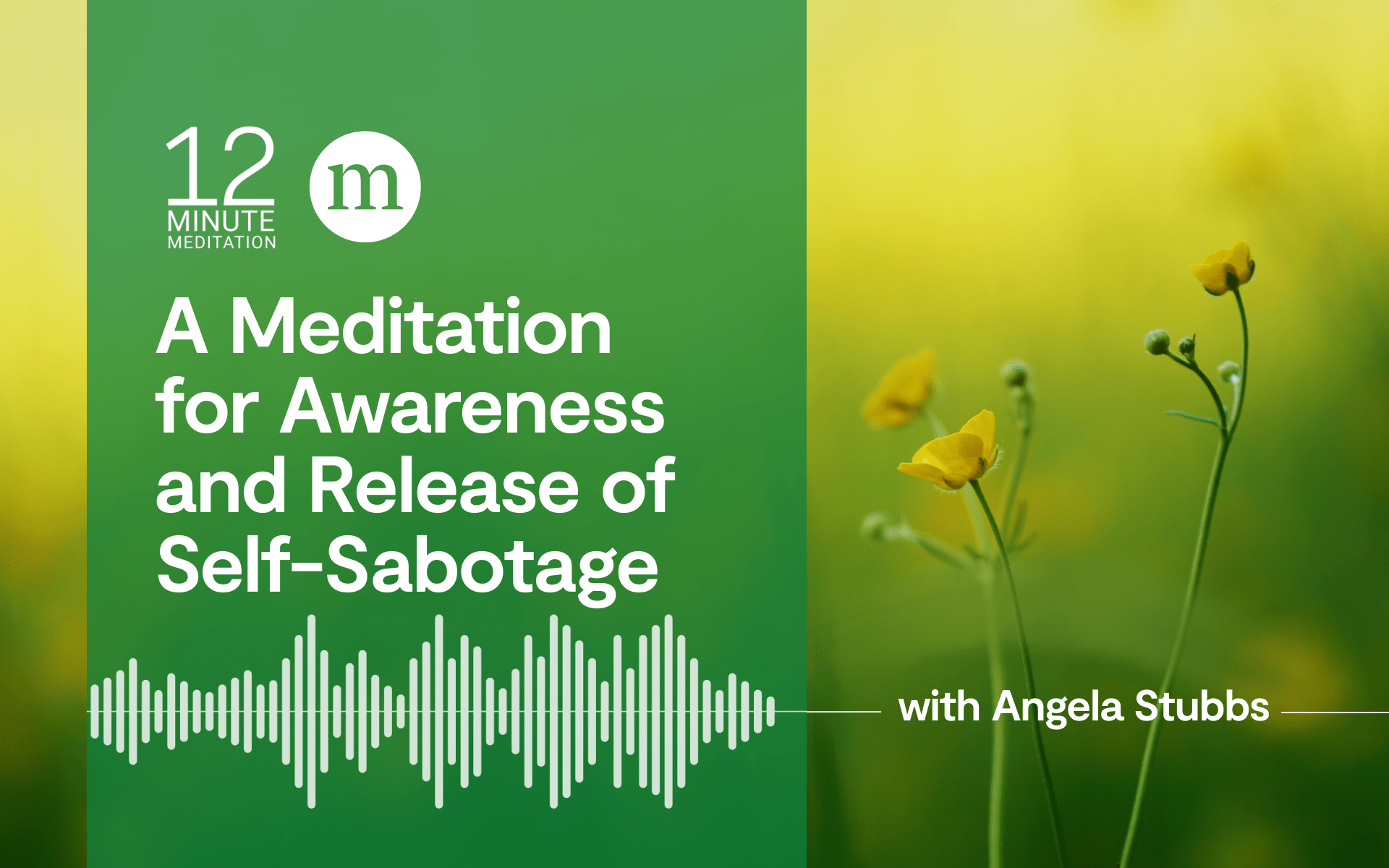 12MM Podcast A meditation for awareness and sabotage with Angela Stubbs