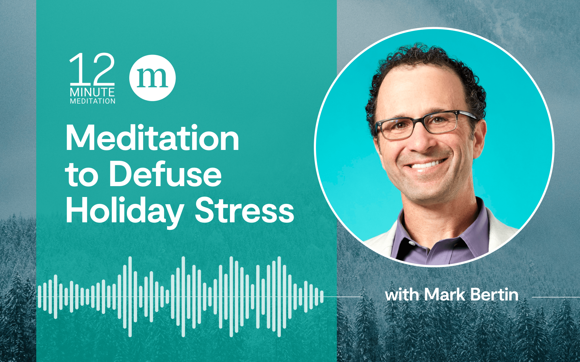 12MM_Mark-Bertin_A-Meditation-to-Defuse-Holiday-Stress; Mark Bertin headshot
