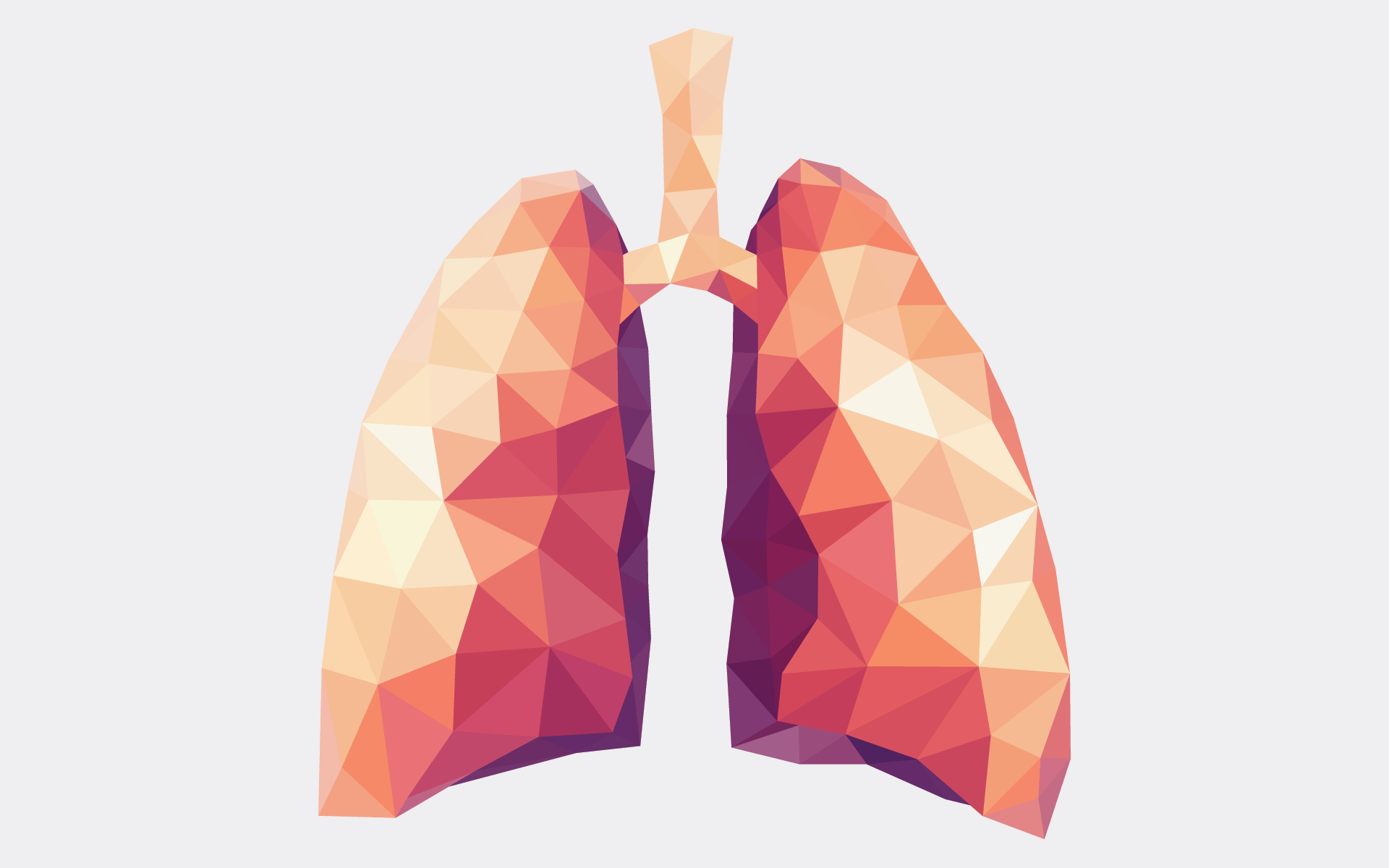 illustration of lungs